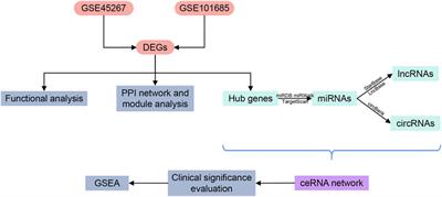 Identification of lncRNA/circRNA-miRNA-mRNA ceRNA Network as Biomarkers for Hepatocellular Carcinoma